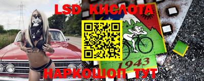 гашик Будённовск