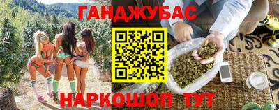 гашик Будённовск