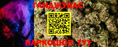 гашик Будённовск
