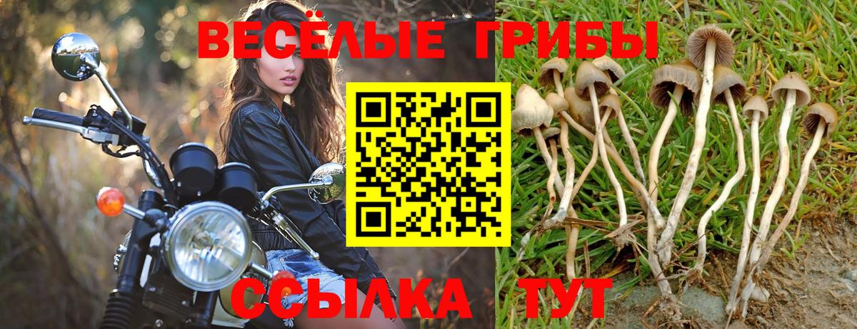 Галлюциногенные грибы MAGIC MUSHROOMS Приморско-Ахтарск
