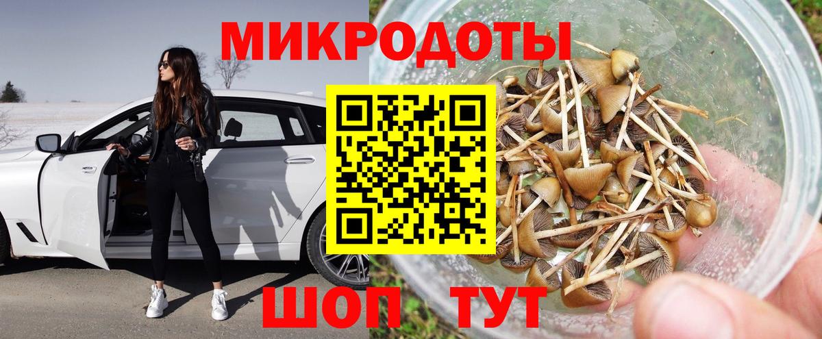 Псилоцибиновые грибы Psilocybe  Галлюциногенные грибы ЛСД  Приморско-Ахтарск  Вход с VPN 